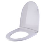 ASIENTO-SANITARIO-PIETRO-BLANCO-LECCO-LECCOP194_2