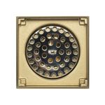 LECCOG480
