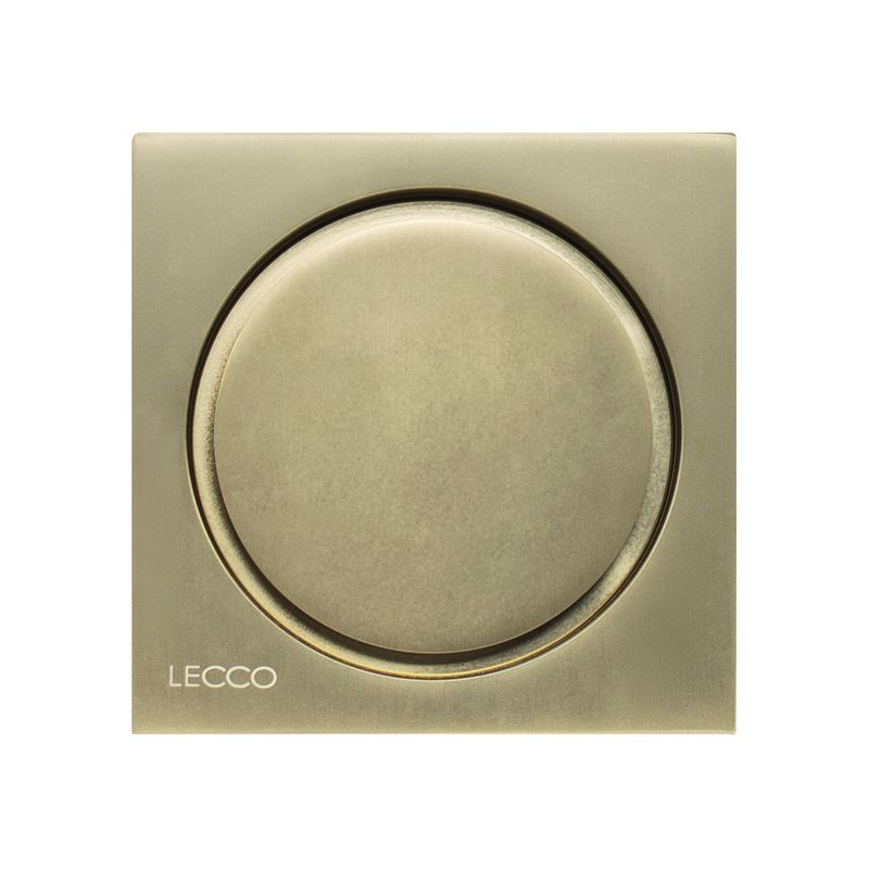 LECCOG488