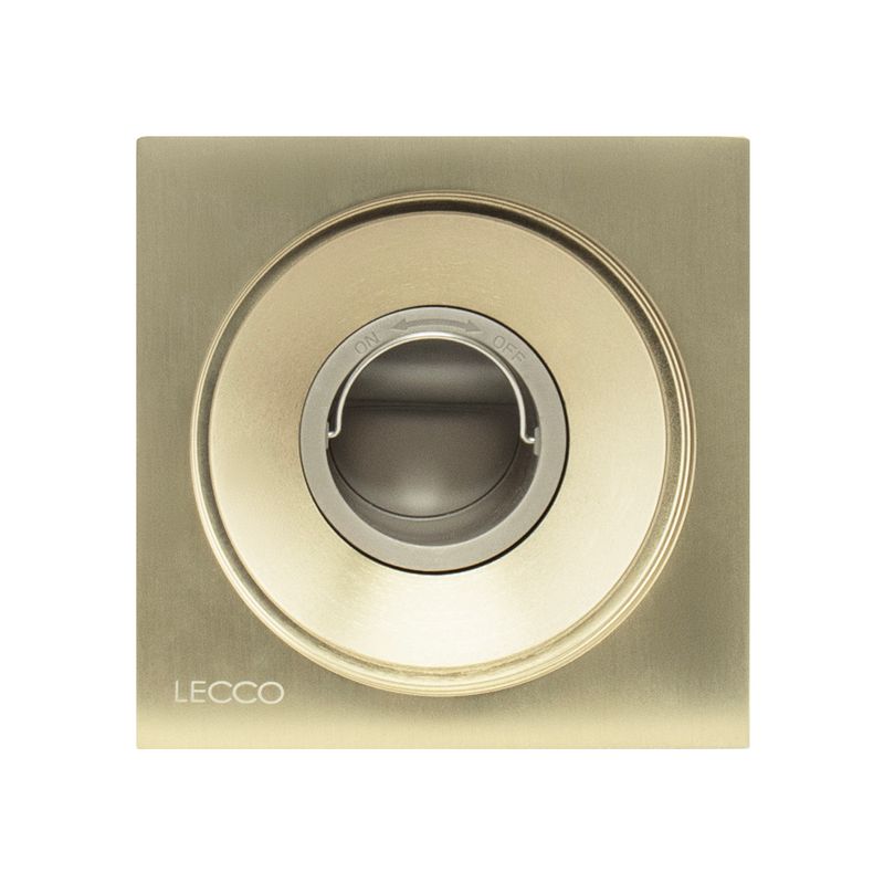 LECCOG488
