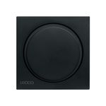 LECCOG489