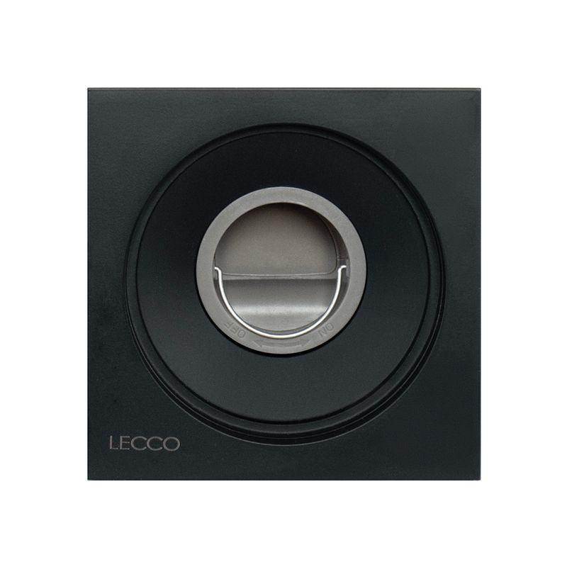 LECCOG489