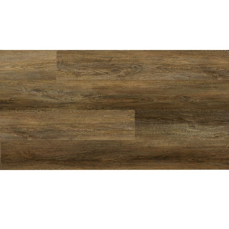 Alora Almond