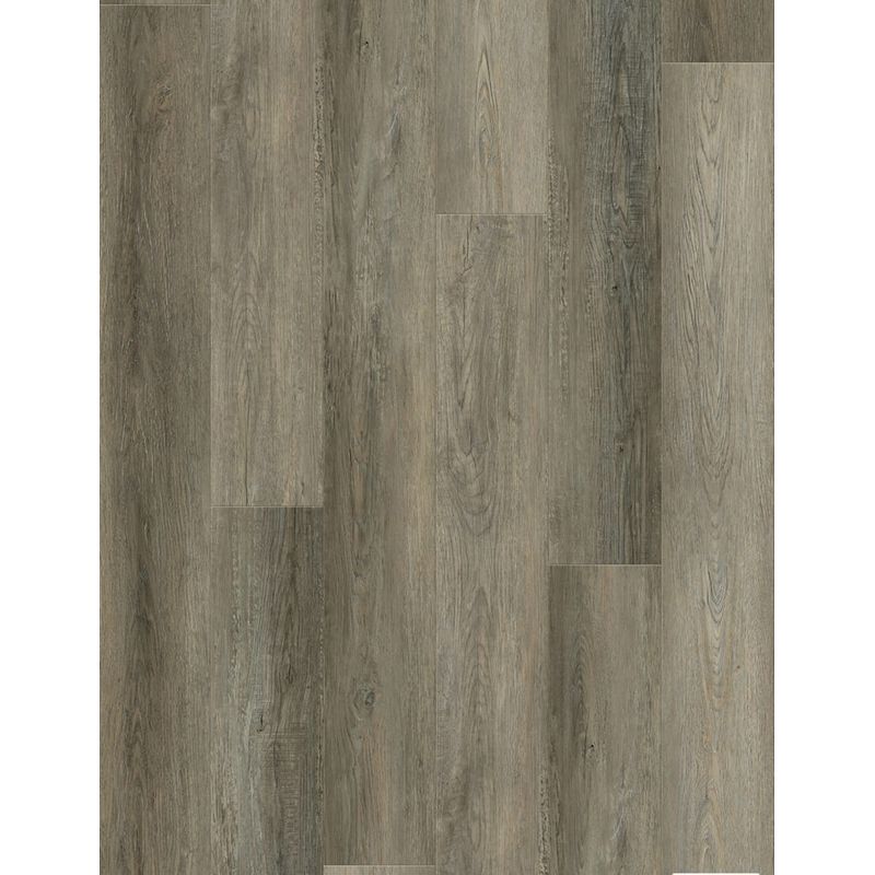 ALORA-PATINA-NOCE-es-pntENEkSIghgEi8w-800x1038