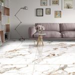 SCR558011-Ambiente