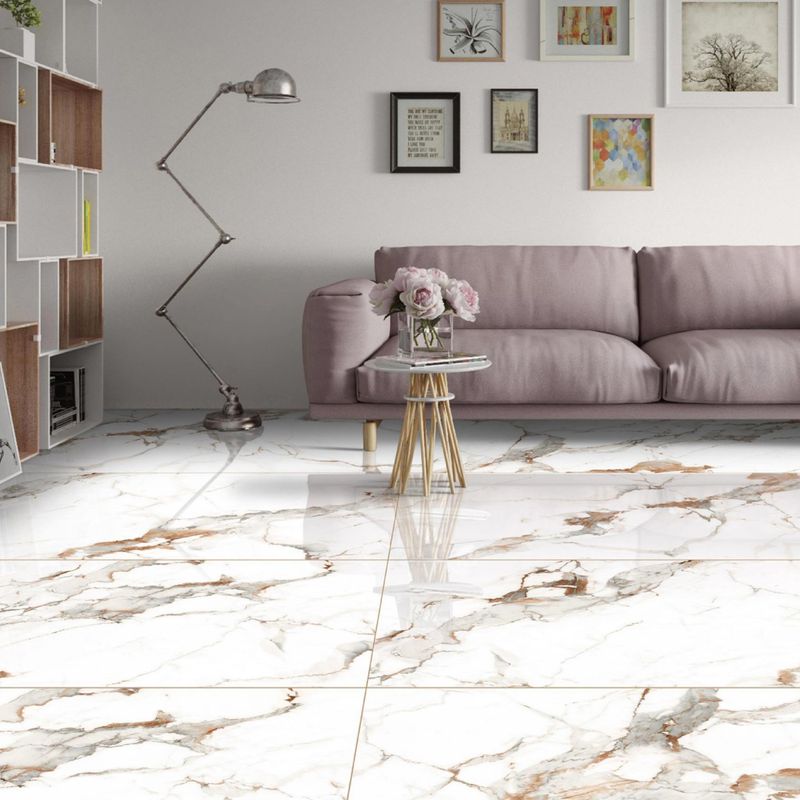 SCR558011-Ambiente