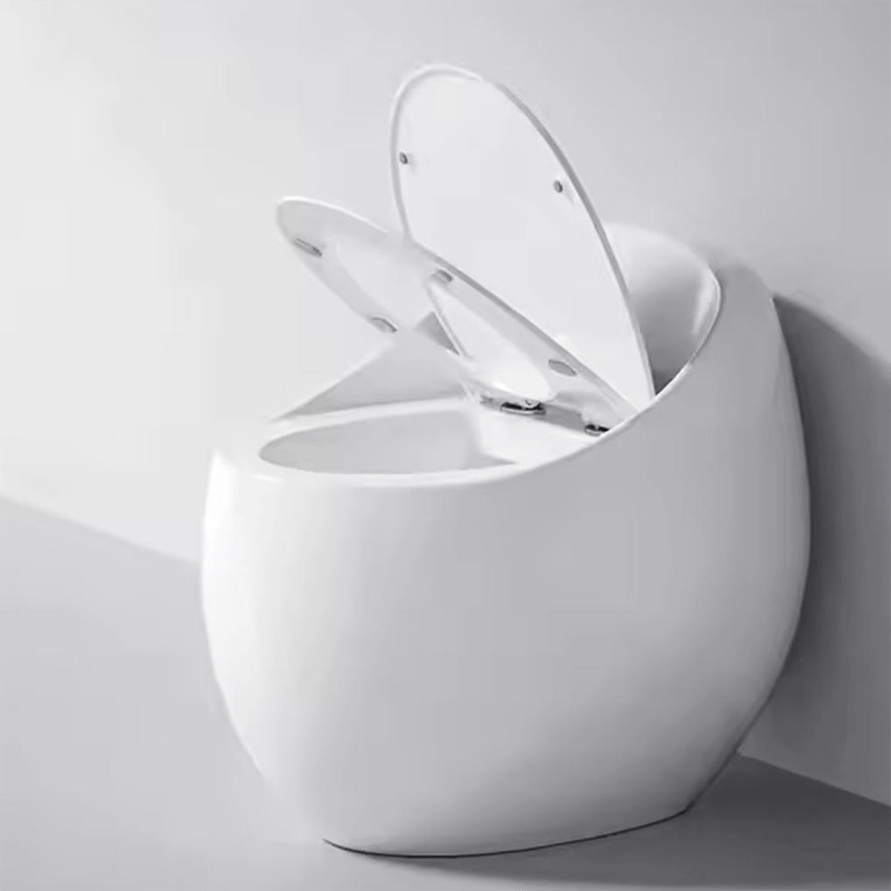 g---CG5015562