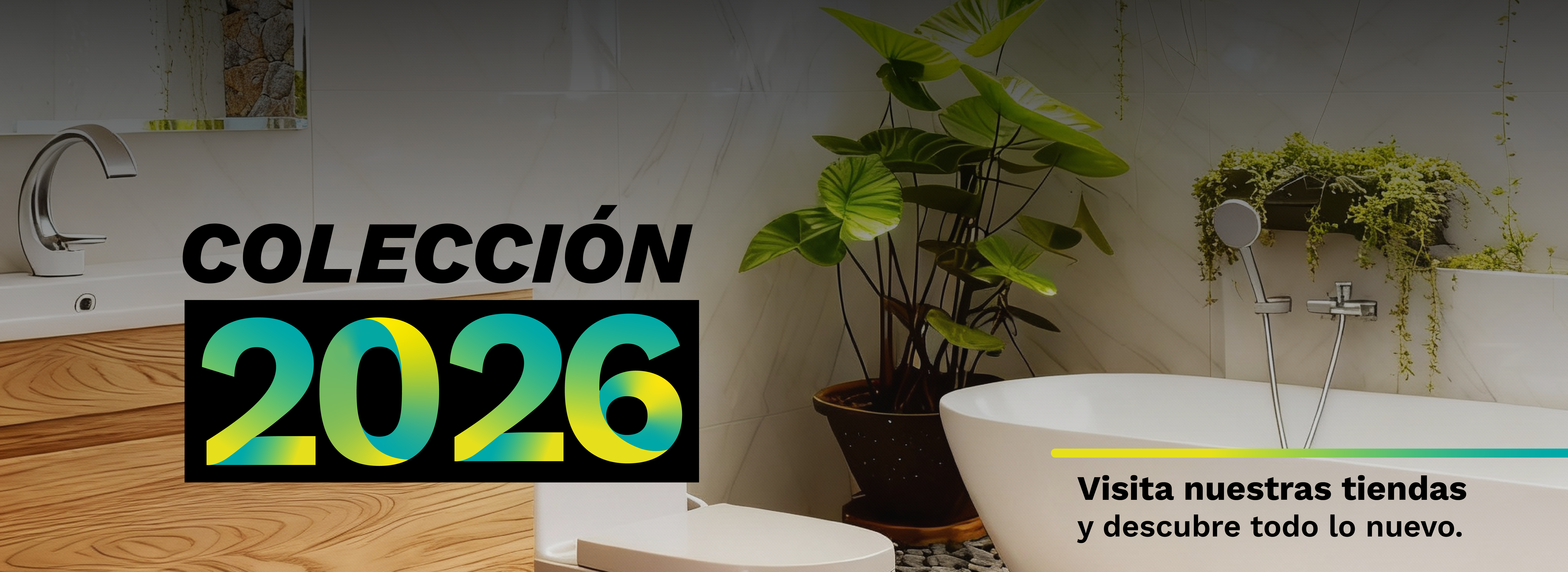 Nueva colección 2026​